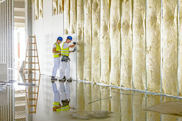 Best Commercial Insulation in Oakland, TN